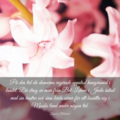 Picture 03 - Rut 1:1 SV1917 - På den tid då domarna regerade uppstod - Bible Verse Picture