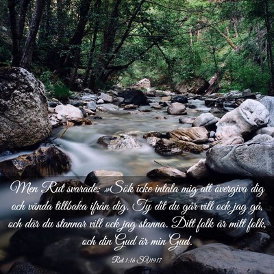 Picture 03 - Rut 1:16 SV1917 - Men Rut svarade: »Sök icke intala mig att - Bible Verse Picture