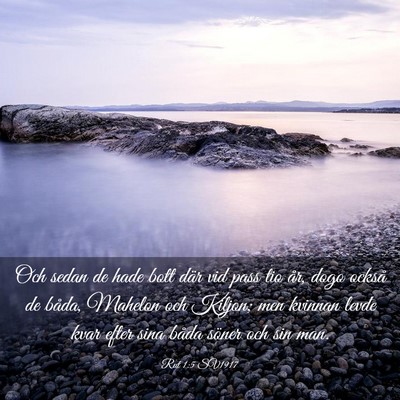 Picture 03 - Rut 1:5 SV1917 - Och sedan de hade bott där vid pass tio år, - Bible Verse Picture