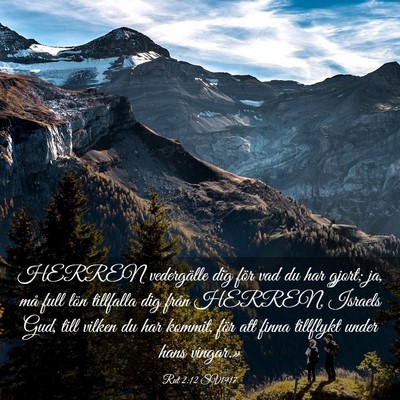 Picture 03 - Rut 2:12 SV1917 - HERREN vedergälle dig för vad du har gjort; ja, - Bible Verse Picture