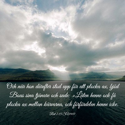 Picture 03 - Rut 2:15 SV1917 - Och när hon därefter stod upp för att plocka - Bible Verse Picture
