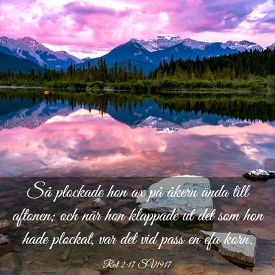 Picture 03 - Rut 2:17 SV1917 - Så plockade hon ax på åkern ända till - Bible Verse Picture