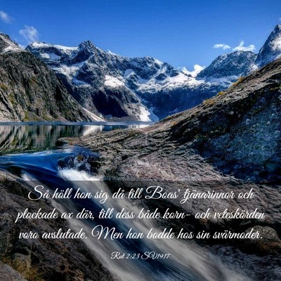 Picture 03 - Rut 2:23 SV1917 - Så höll hon sig då till Boas' tjänarinnor och - Bible Verse Picture