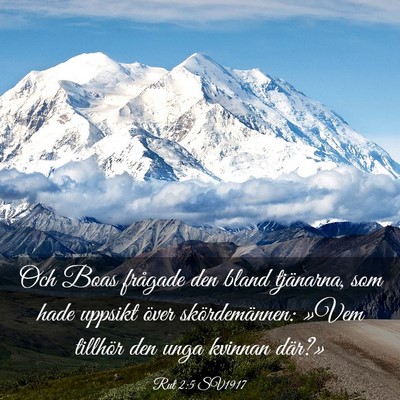 Picture 03 - Rut 2:5 SV1917 - Och Boas frågade den bland tjänarna, som hade - Bible Verse Picture