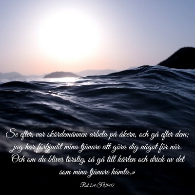 Picture 03 - Rut 2:9 SV1917 - Se efter, var skördemännen arbeta på åkern, - Bible Verse Picture