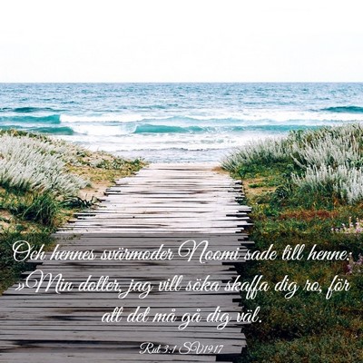 Picture 03 - Rut 3:1 SV1917 - Och hennes svärmoder Noomi sade till henne: - Bible Verse Picture