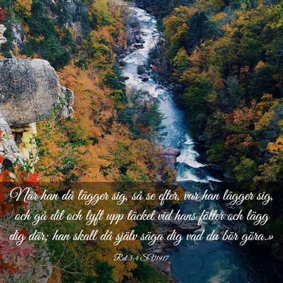 Picture 03 - Rut 3:4 SV1917 - När han då lägger sig, så se efter, var han - Bible Verse Picture