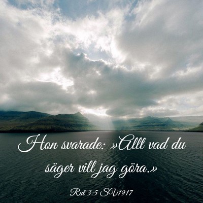 Picture 03 - Rut 3:5 SV1917 - Hon svarade: »Allt vad du säger vill jag - Bible Verse Picture