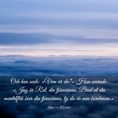 Picture 03 - Rut 3:9 SV1917 - Och han sade: »Vem är du?» Hon svarade: »Jag - Bible Verse Picture