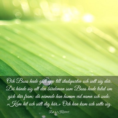 Picture 03 - Rut 4:1 SV1917 - Och Boas hade gått upp till stadsporten och satt - Bible Verse Picture