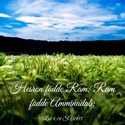 Picture 03 - Rut 4:19 SV1917 - Hesron födde Ram; Ram födde - Bible Verse Picture