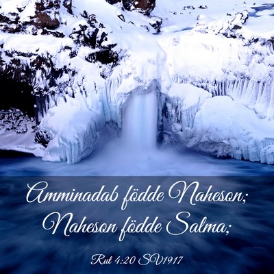 Picture 03 - Rut 4:20 SV1917 - Amminadab födde Naheson; Naheson födde - Bible Verse Picture