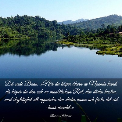 Picture 03 - Rut 4:5 SV1917 - Då sade Boas: »När du köper åkern av Noomis - Bible Verse Picture