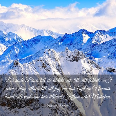 Picture 03 - Rut 4:9 SV1917 - Då sade Boas till de äldste och till allt - Bible Verse Picture