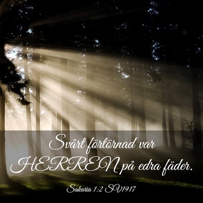 Picture 03 - Sakaria 1:2 SV1917 - Svårt förtörnad var HERREN på edra - Bible Verse Picture