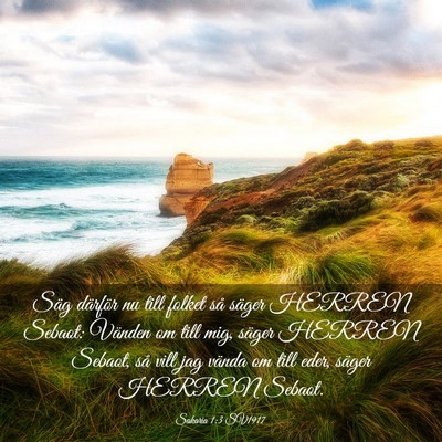 Picture 03 - Sakaria 1:3 SV1917 - Säg därför nu till folket så säger HERREN - Bible Verse Picture