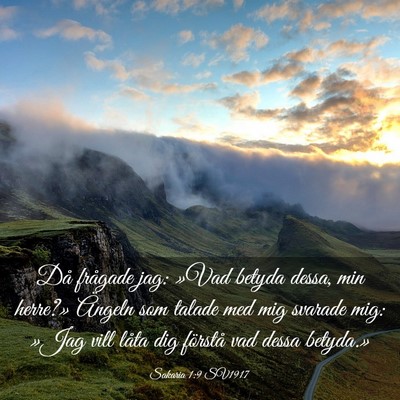 Picture 03 - Sakaria 1:9 SV1917 - Då frågade jag: »Vad betyda dessa, min - Bible Verse Picture