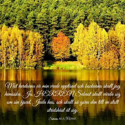 Picture 03 - Sakaria 10:3 SV1917 - Mot herdarna är min vrede upptänd och bockarna - Bible Verse Picture