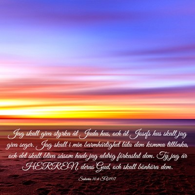 Picture 03 - Sakaria 10:6 SV1917 - Jag skall giva styrka åt Juda hus, och åt - Bible Verse Picture