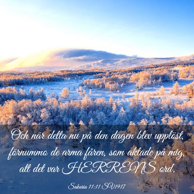 Picture 03 - Sakaria 11:11 SV1917 - Och när detta nu på den dagen blev upplöst, - Bible Verse Picture