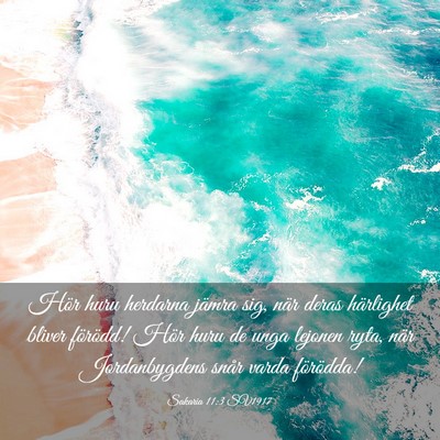 Picture 03 - Sakaria 11:3 SV1917 - Hör huru herdarna jämra sig, när deras - Bible Verse Picture