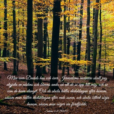 Picture 03 - Sakaria 12:10 SV1917 - Men över Davids hus och över Jerusalems - Bible Verse Picture