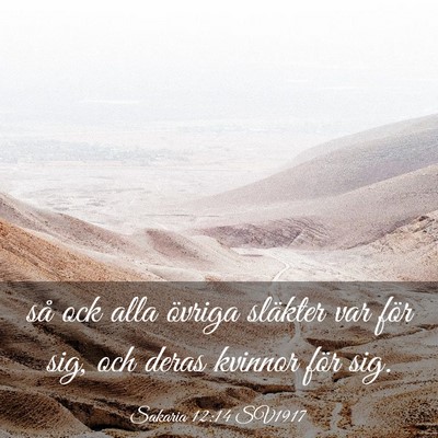 Picture 03 - Sakaria 12:14 SV1917 - så ock alla övriga släkter var för sig, och - Bible Verse Picture