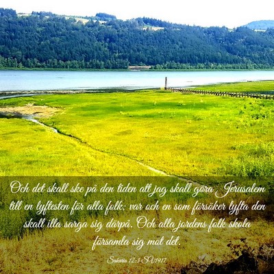 Picture 03 - Sakaria 12:3 SV1917 - Och det skall ske på den tiden att jag skall - Bible Verse Picture