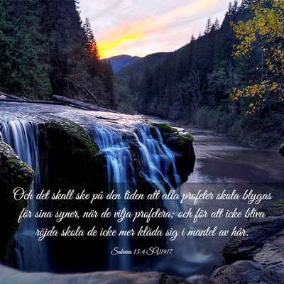 Picture 03 - Sakaria 13:4 SV1917 - Och det skall ske på den tiden att alla profeter - Bible Verse Picture