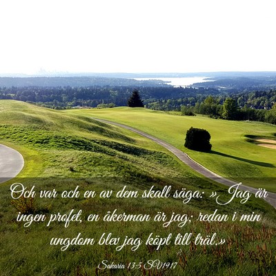 Picture 03 - Sakaria 13:5 SV1917 - Och var och en av dem skall säga: »Jag är - Bible Verse Picture