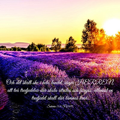 Picture 03 - Sakaria 13:8 SV1917 - Och det skall ske i hela landet, säger HERREN, - Bible Verse Picture