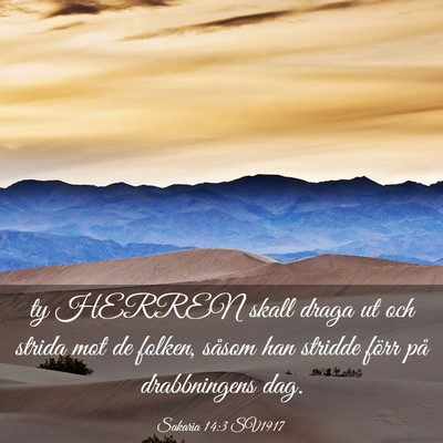 Picture 03 - Sakaria 14:3 SV1917 - ty HERREN skall draga ut och strida mot de - Bible Verse Picture