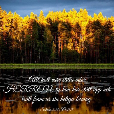 Picture 03 - Sakaria 2:13 SV1917 - Allt kött vare stilla inför HERREN; ty han har - Bible Verse Picture