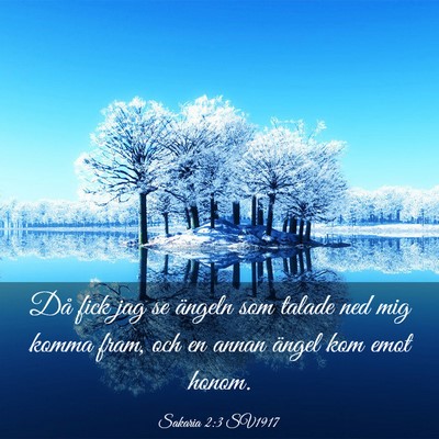 Picture 03 - Sakaria 2:3 SV1917 - Då fick jag se ängeln som talade ned mig komma - Bible Verse Picture