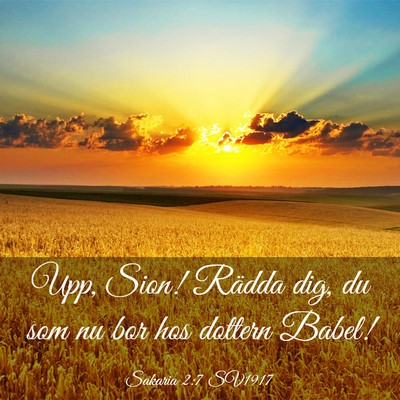 Picture 03 - Sakaria 2:7 SV1917 - Upp, Sion! Rädda dig, du som nu bor hos dottern - Bible Verse Picture