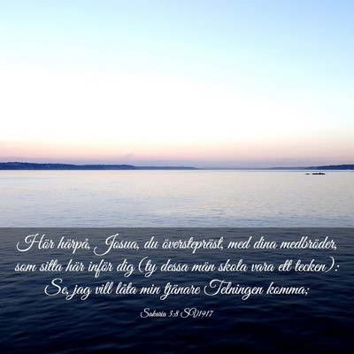 Picture 03 - Sakaria 3:8 SV1917 - Hör härpå, Josua, du överstepräst, med dina - Bible Verse Picture