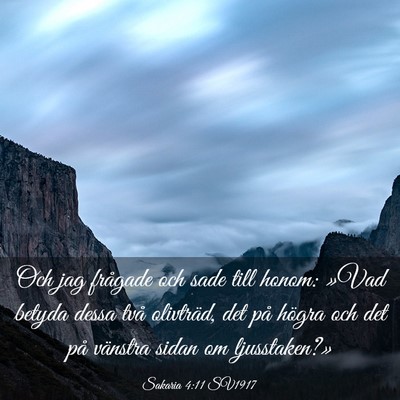 Picture 03 - Sakaria 4:11 SV1917 - Och jag frågade och sade till honom: »Vad - Bible Verse Picture