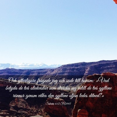 Picture 03 - Sakaria 4:12 SV1917 - Och ytterligare frågade jag och sade till honom: - Bible Verse Picture