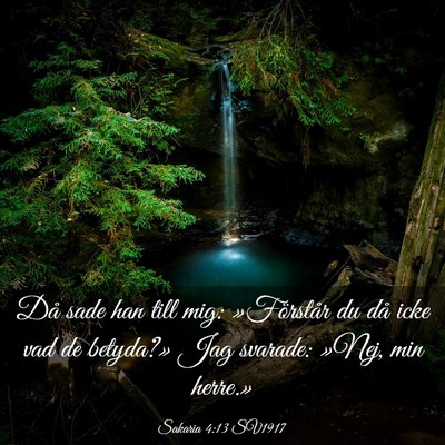 Picture 03 - Sakaria 4:13 SV1917 - Då sade han till mig: »Förstår du då icke - Bible Verse Picture