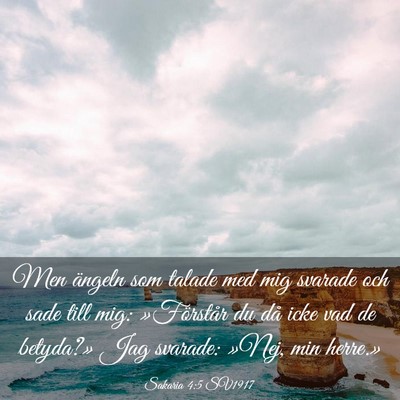 Picture 03 - Sakaria 4:5 SV1917 - Men ängeln som talade med mig svarade och sade - Bible Verse Picture