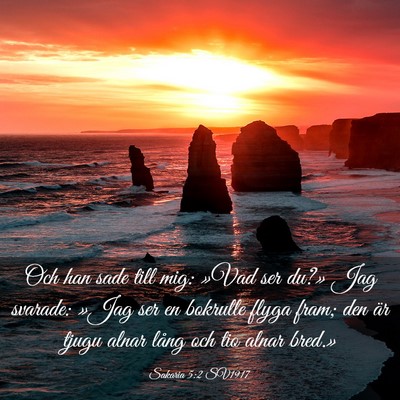 Picture 03 - Sakaria 5:2 SV1917 - Och han sade till mig: »Vad ser du?» Jag - Bible Verse Picture