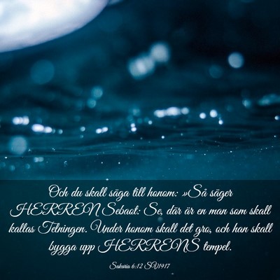 Picture 03 - Sakaria 6:12 SV1917 - Och du skall säga till honom: »Så säger - Bible Verse Picture
