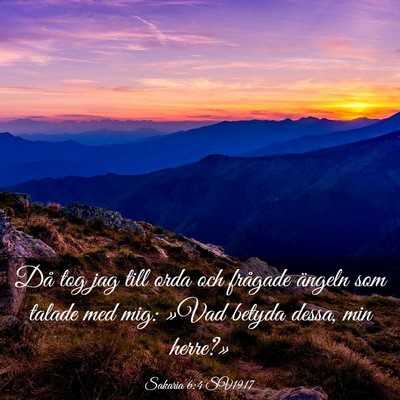Picture 03 - Sakaria 6:4 SV1917 - Då tog jag till orda och frågade ängeln som - Bible Verse Picture