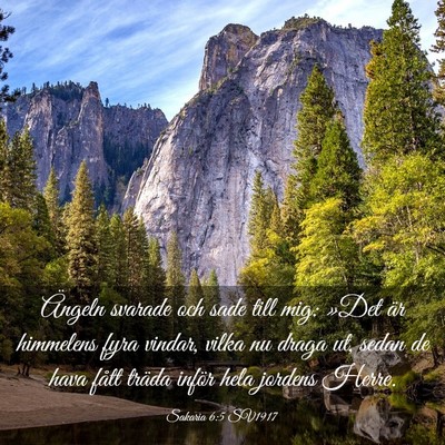 Picture 03 - Sakaria 6:5 SV1917 - Ängeln svarade och sade till mig: »Det är - Bible Verse Picture