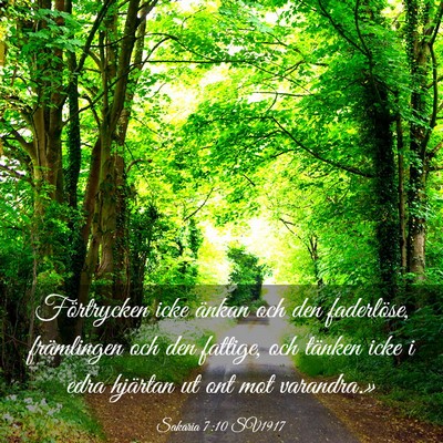 Picture 03 - Sakaria 7:10 SV1917 - Förtrycken icke änkan och den faderlöse, - Bible Verse Picture