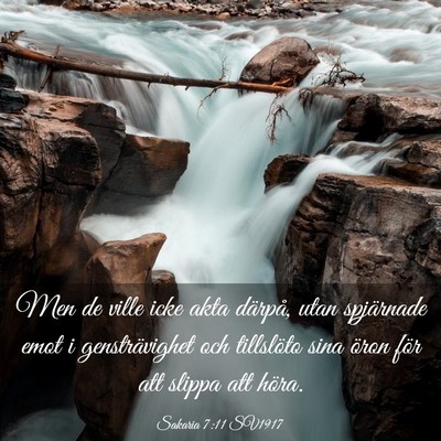 Picture 03 - Sakaria 7:11 SV1917 - Men de ville icke akta därpå, utan spjärnade - Bible Verse Picture