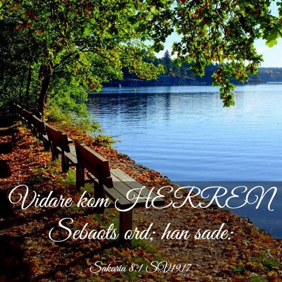 Picture 03 - Sakaria 8:1 SV1917 - Vidare kom HERREN Sebaots ord; han - Bible Verse Picture