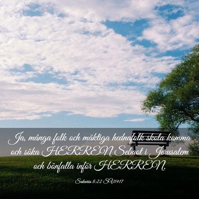 Picture 03 - Sakaria 8:22 SV1917 - Ja, många folk och mäktiga hednafolk skola - Bible Verse Picture