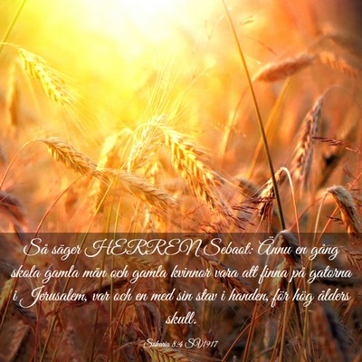 Picture 03 - Sakaria 8:4 SV1917 - Så säger HERREN Sebaot: Ännu en gång skola - Bible Verse Picture