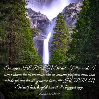Picture 03 - Sakaria 8:9 SV1917 - Så säger HERREN Sebaot: Fatten mod, I som i - Bible Verse Picture